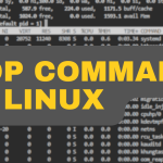 The Top Command Output in Linux: Complete Guide